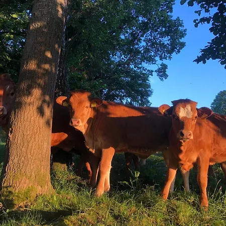 Wandlhof 3971 Sankt Martin *