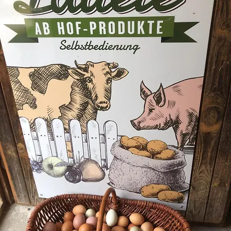 Wandlhof 3971 Sankt Martin Sankt Martin (Gmund)