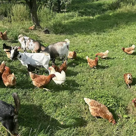 Wandlhof 3971 Sankt Martin Appartamento *