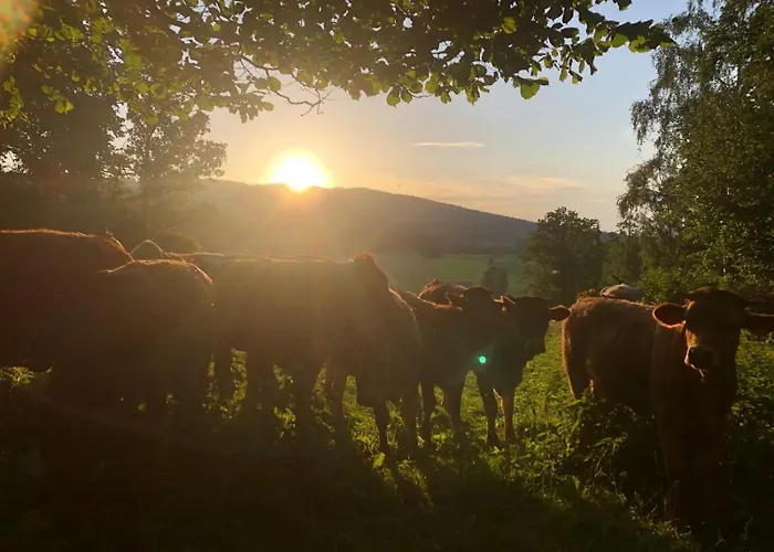 Wandlhof 3971 Sankt Martin Apartment *