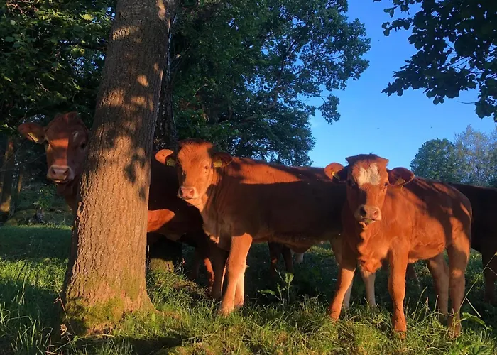 Wandlhof 3971 Sankt Martin *