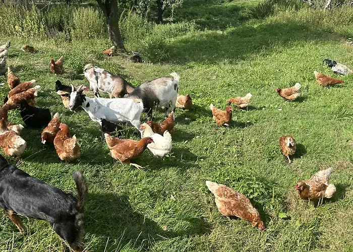 Wandlhof 3971 Sankt Martin Διαμέρισμα *