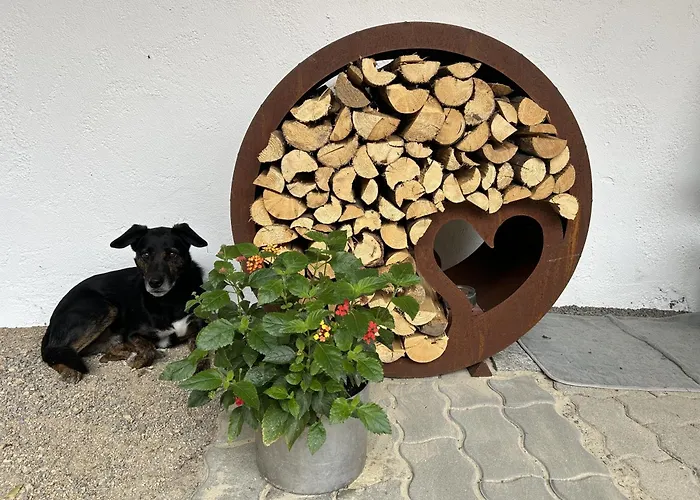 Διαμέρισμα Wandlhof 3971 Sankt Martin